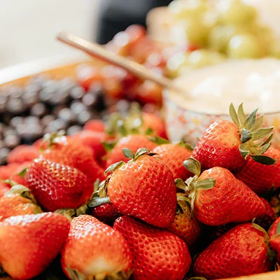 2月4日|最高速度21.8M/S，2025最新ClashVerge免费节点高速订阅链接