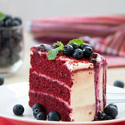 3月14日|最高速度19.3M/S，2025最新ClashVerge免费节点高速订阅链接