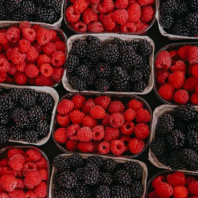 2月10日|最高速度20.3M/S，2025最新ClashVerge免费节点高速订阅链接