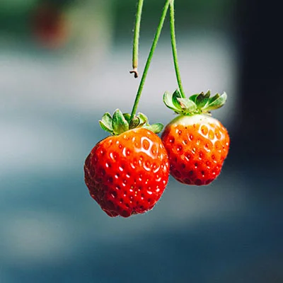 3月28日|最高速度19.4M/S，2025最新ClashVerge免费节点高速订阅链接